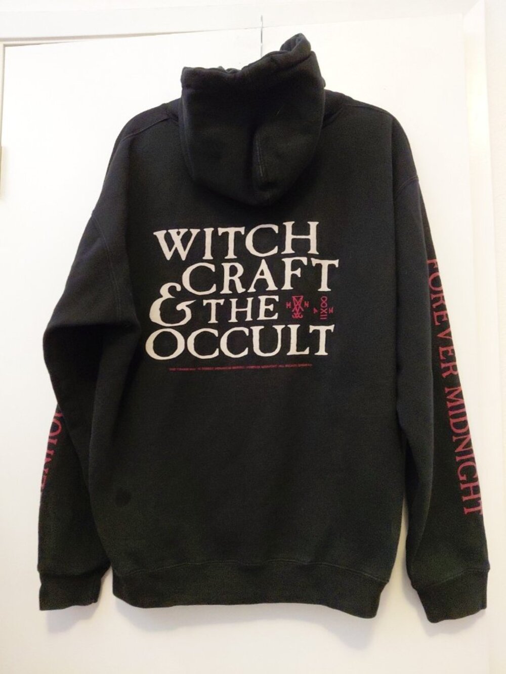 Hen House Brewing Graphic Print Hoodie Witchcraft & the Occult Black Large